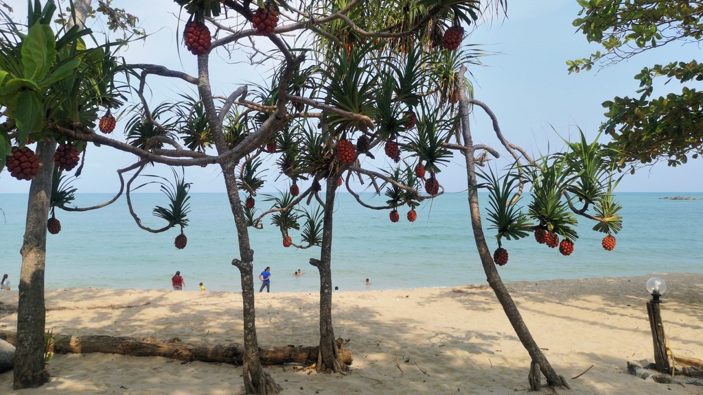 Khanom