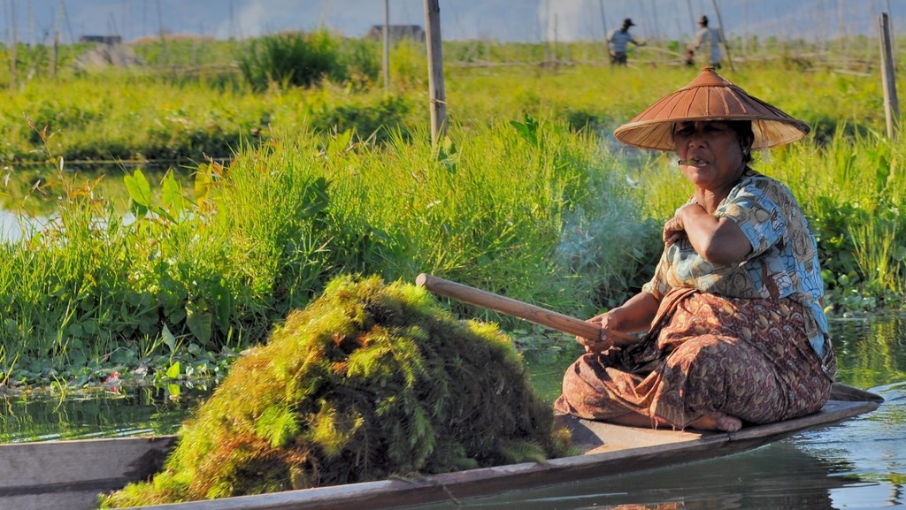 lac Inlé, inle Lake, Myanmar