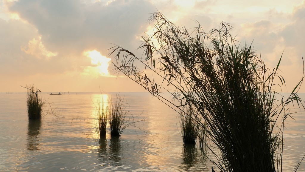 Le lac de Songkhla