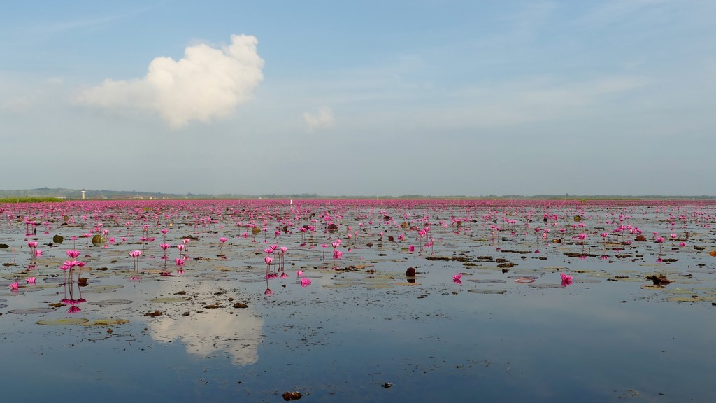 Thale Noi