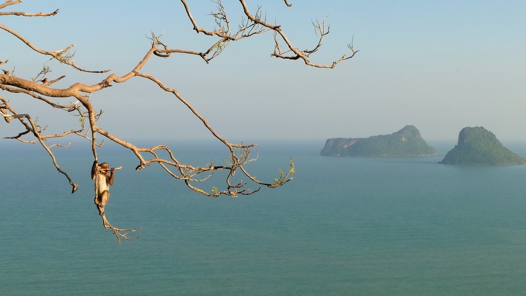 Prachuap Khiri Khan, Wat Thammikaram
