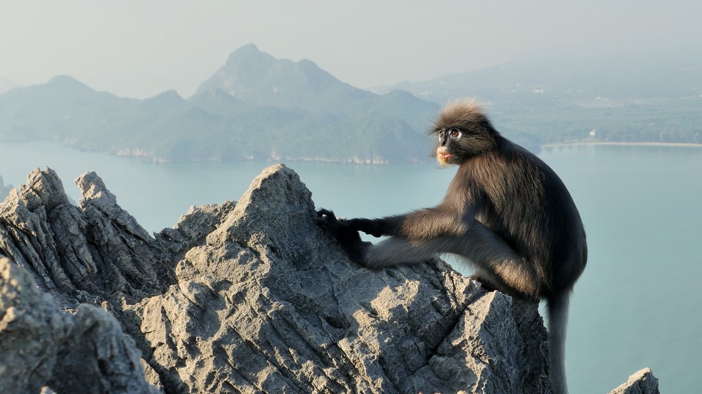 Prachuap Khiri Khan, Khao Lom Muak