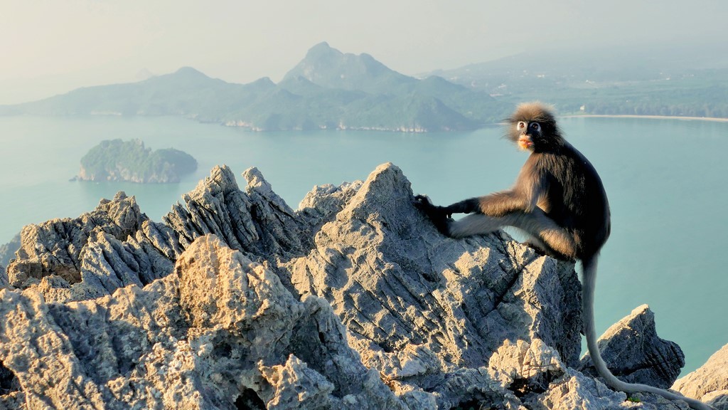 Prachuap Khiri Khan, Khao Lom Muak