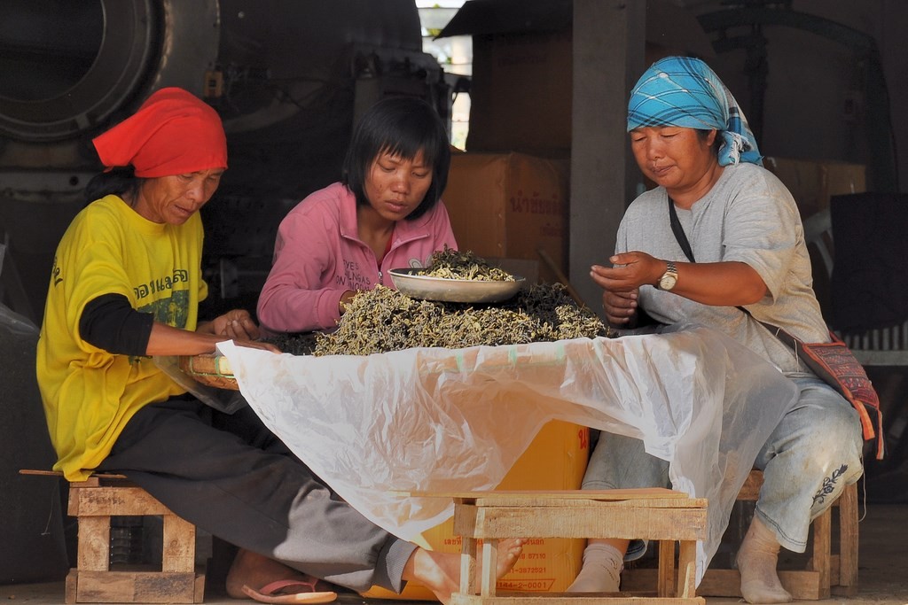 Thaton, Fang, Tha ton