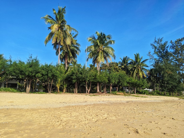 SalaCoco