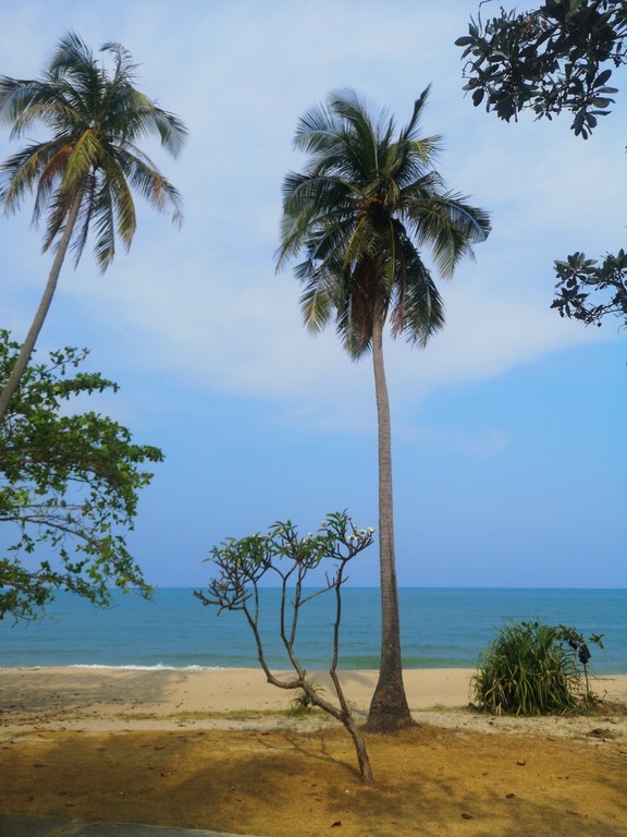 Khanom
