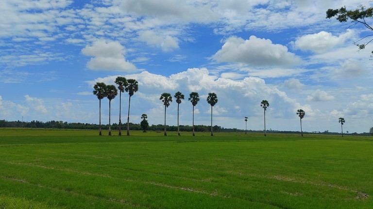 Patthalung
