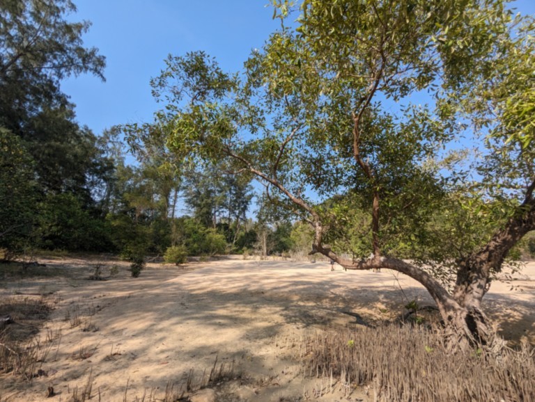 Koh Phratong