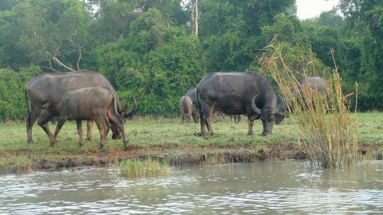 Phathalung