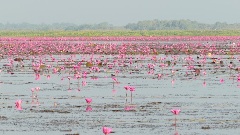Thale Noi