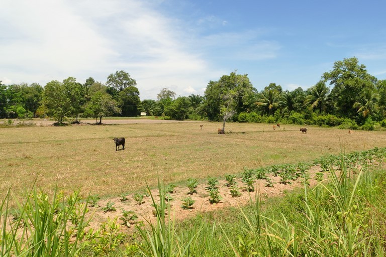 Sripakpra