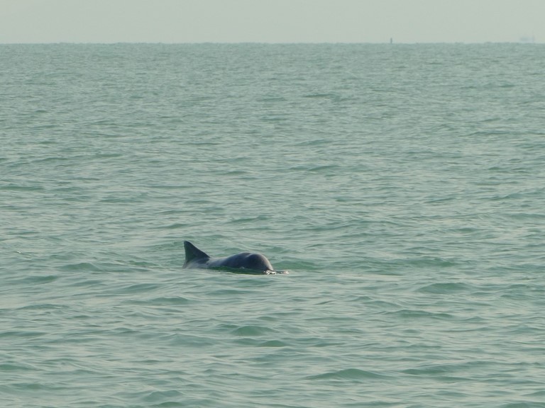 Khanom