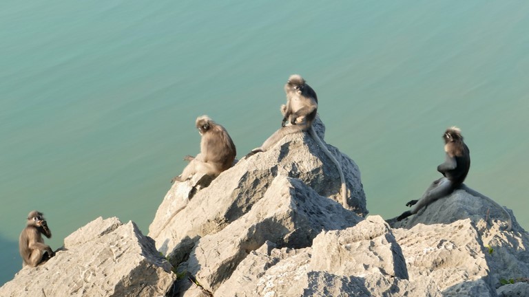 Prachuap Khiri Khan, Khao Lom Muak