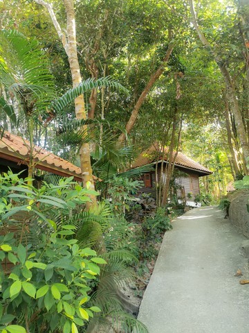 Baan Klong Kleng
