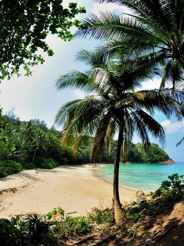 Banana beach Phuket