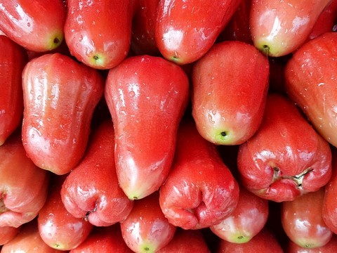 chompou