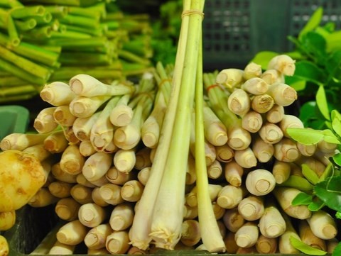 Citronnelle, Takrai