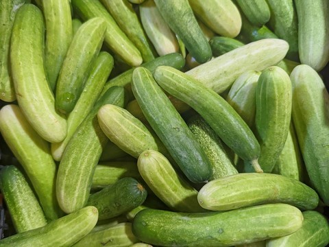 Teng kwa, concombre