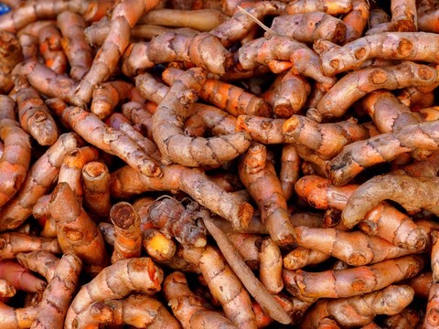 Curcuma, Kamin