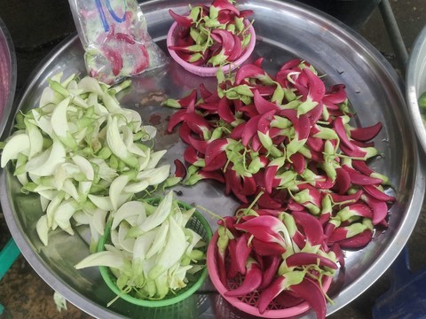 dok Kae