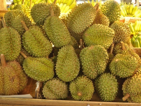 durian