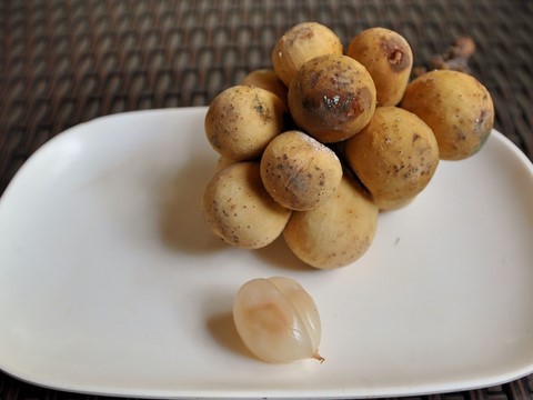 Longkong