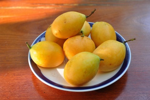 Maprang