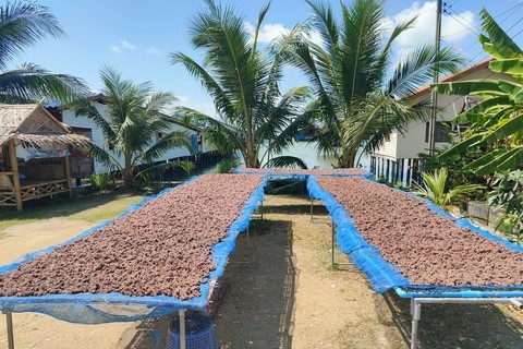 Koh Yo
