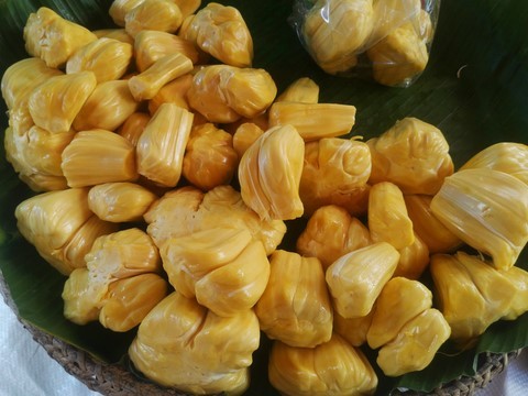 jaquier, khanun