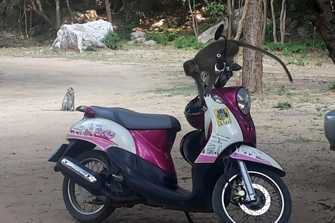 Khao Sam Roi Yot, Khao Daeng