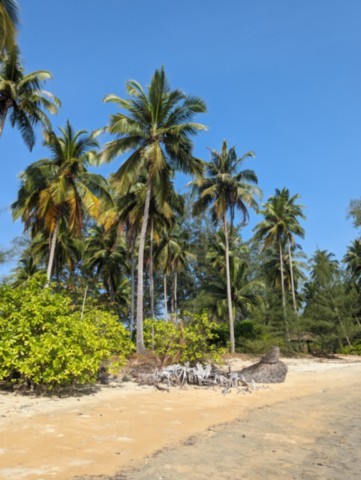 Koh Phratong