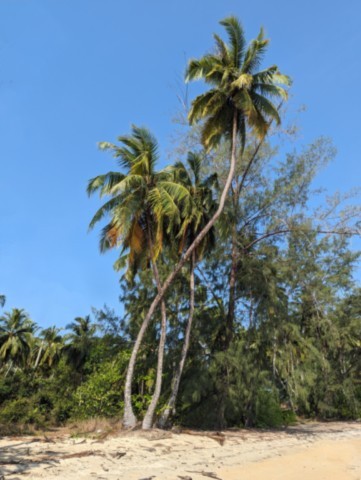 Koh Phratong