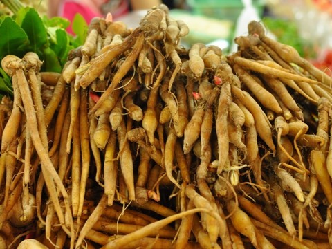 Kratchai, กระชาย