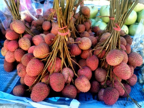 Maprang