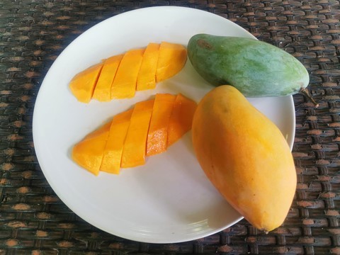 Mangue
