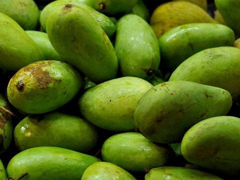 mangue thailande