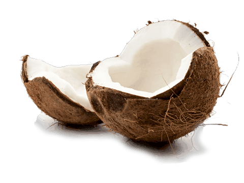 Noix de Coco, Ma Phrao