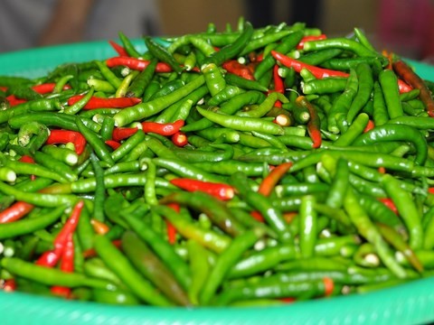 piment, prikinou
