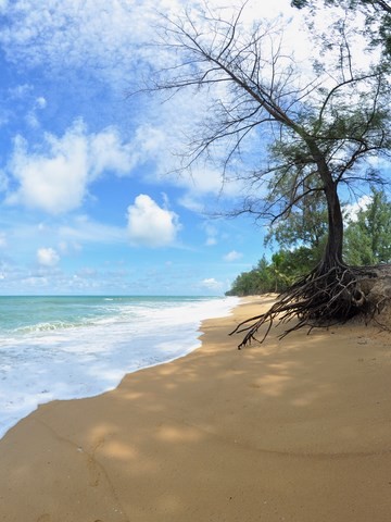 Mai Khao beach Phuket