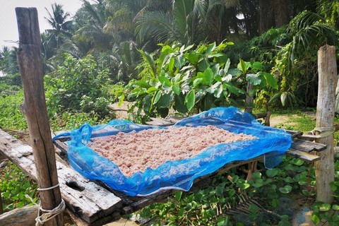 Kapi, pâte de crevettes